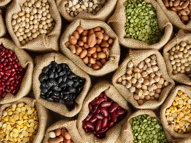 Dr Jacob Orthodontiste La Rochelle - manger des légumes secs avec un appareil dentaire