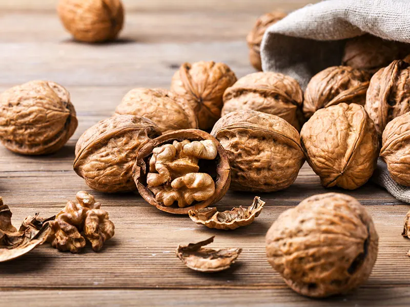 Dr Jacob Orthodontiste La Rochelle - manger des noix avec un appareil dentaire